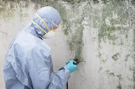 Best Mold Remediation for Healthcare Facilities  in Southgate, FL